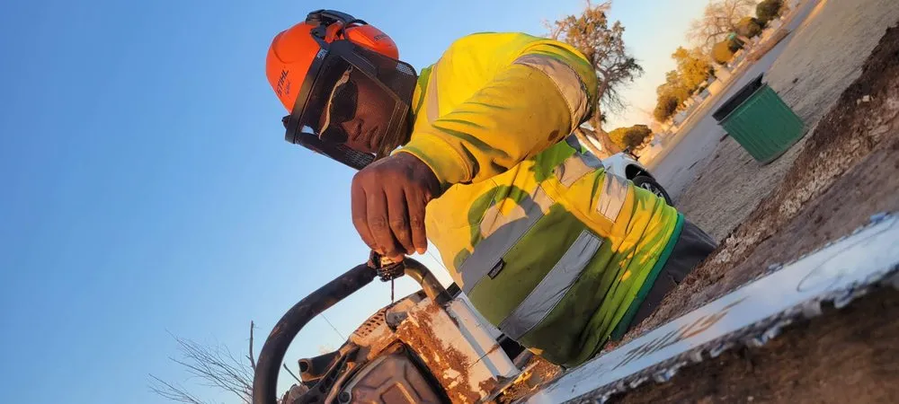 Reliable lawn mowing service for year-round maintenance in Lubbock, TX by Texas Green Tree Services