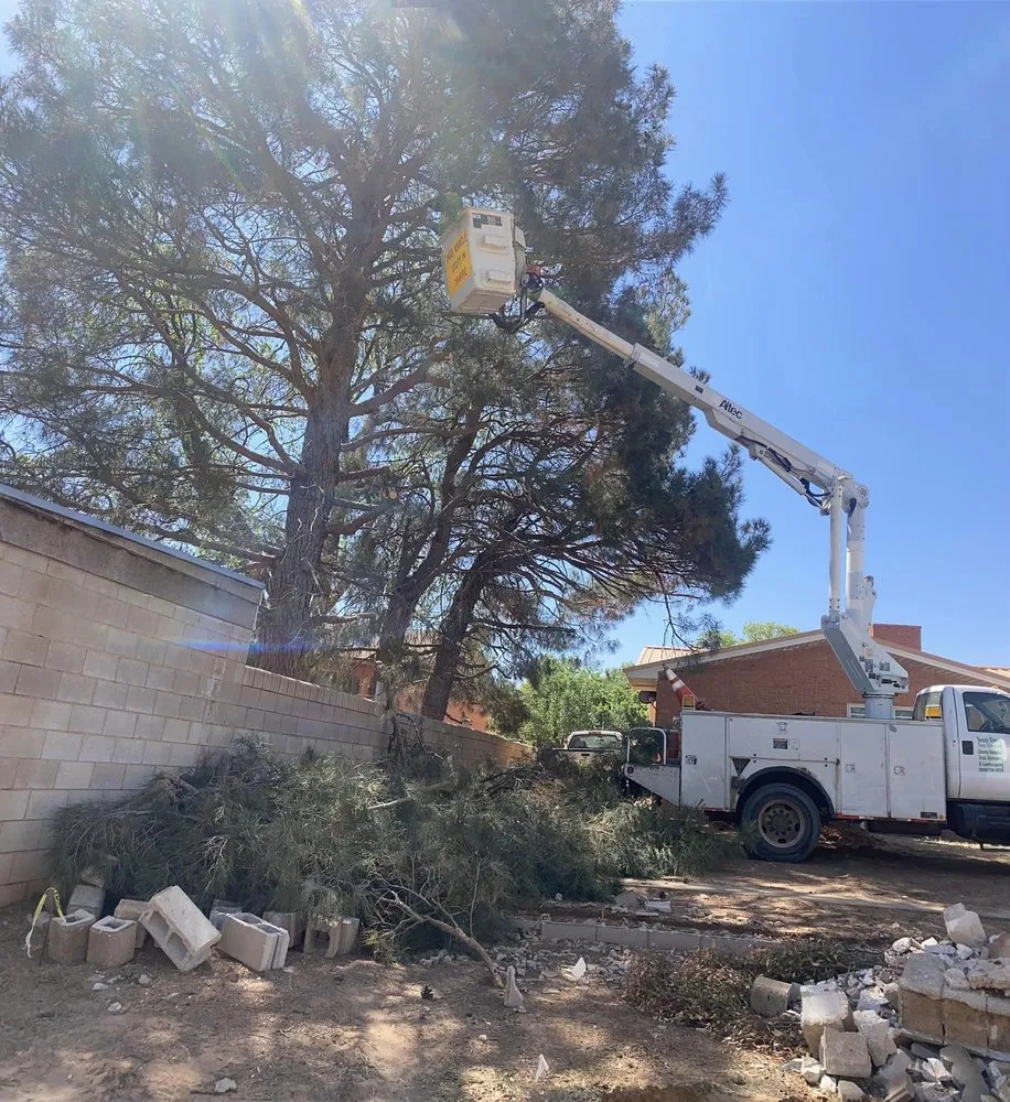 Top-rated yard maintenance near you in Lubbock, TX by Texas Green Tree Services