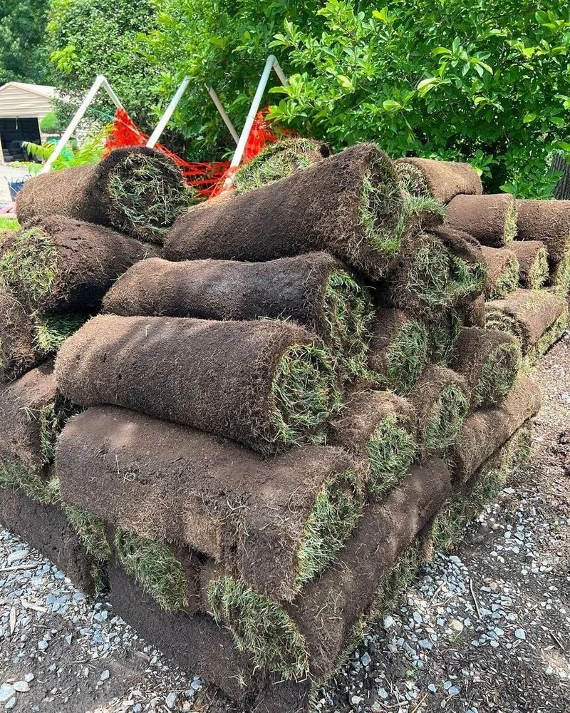 Custom residential landscaping experts serving Alvin, TX - Texas Groundskeepers