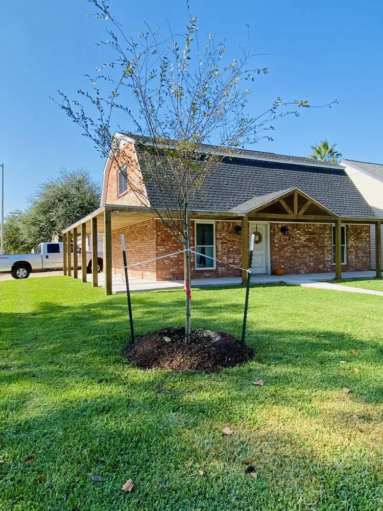 Top-rated garden landscaping with custom design across Alvin, TX - Texas Groundskeepers