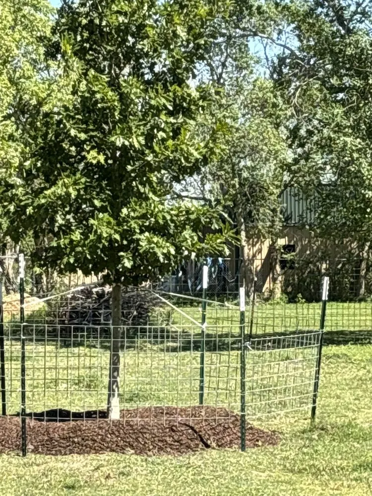 Reliable residential landscaping in Alvin, TX by Texas Groundskeepers