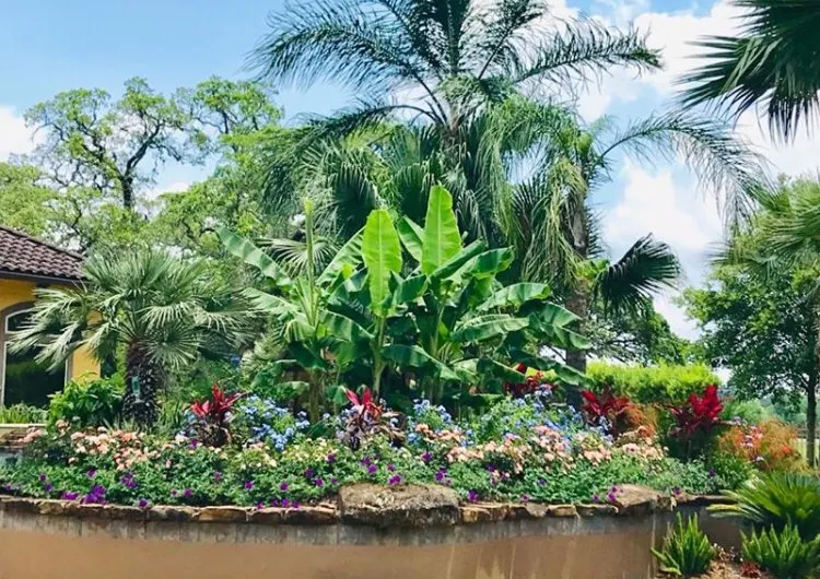 Local lawn mowing service experts serving Alvin, TX - Texas Groundskeepers