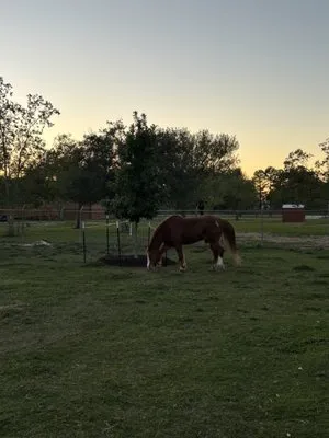 Texas Groundskeepers