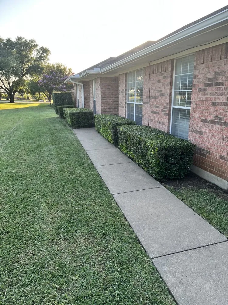 Professional landscape installation for beautiful yards across Waxahachie, TX - Texas Hare Landscape