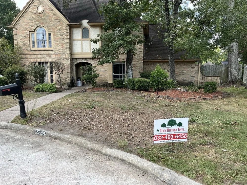 Expert landscape design experts serving Kingwood, TX - Texas Heritage Trees
