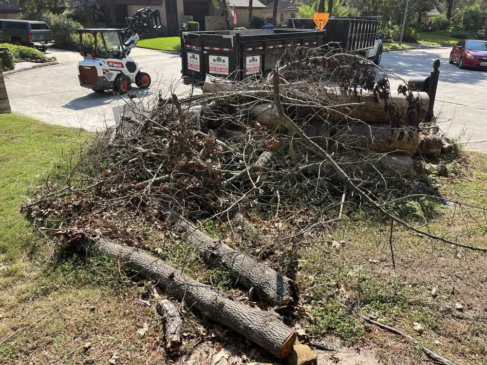 Top-rated lawn mowing service for homes across Kingwood, TX - Texas Heritage Trees