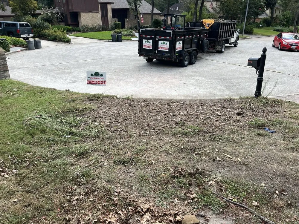 Top-rated residential landscaping in Kingwood, TX by Texas Heritage Trees