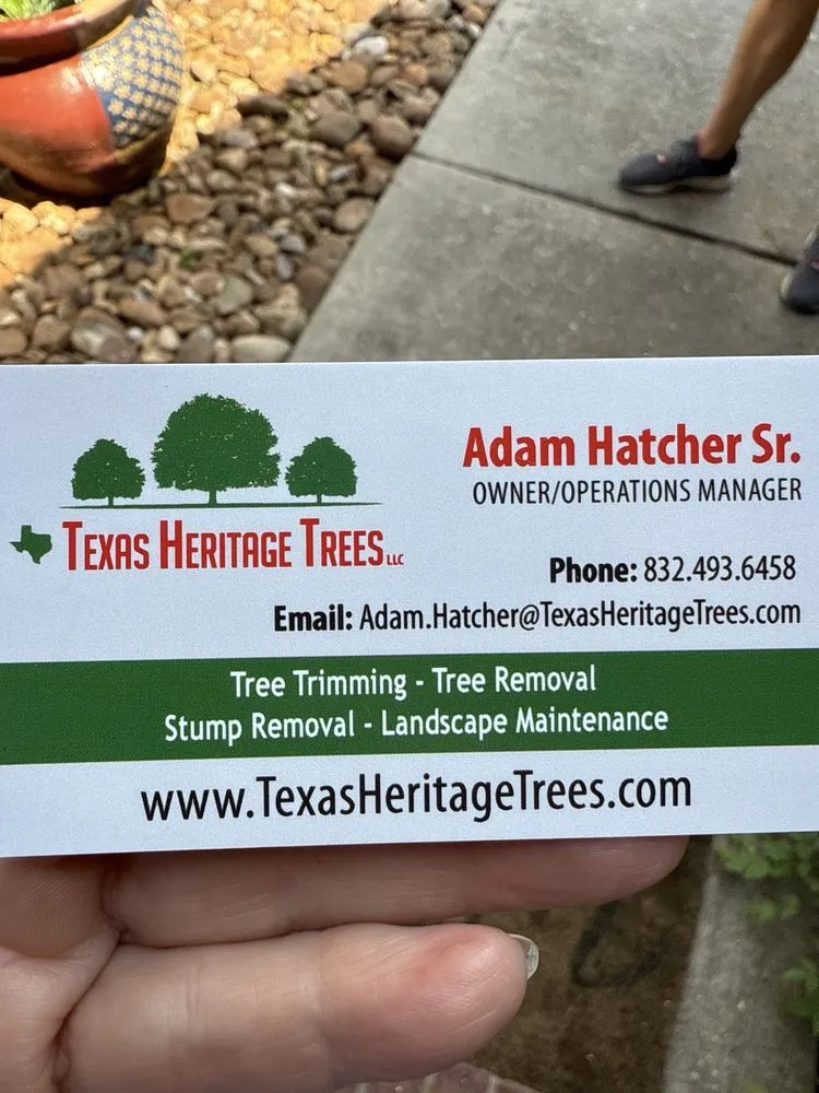 Reliable yard cleanup service experts serving Kingwood, TX - Texas Heritage Trees