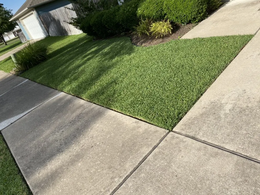 Reliable residential landscaping for year-round maintenance across Georgetown, TX - Texas Hometown Services