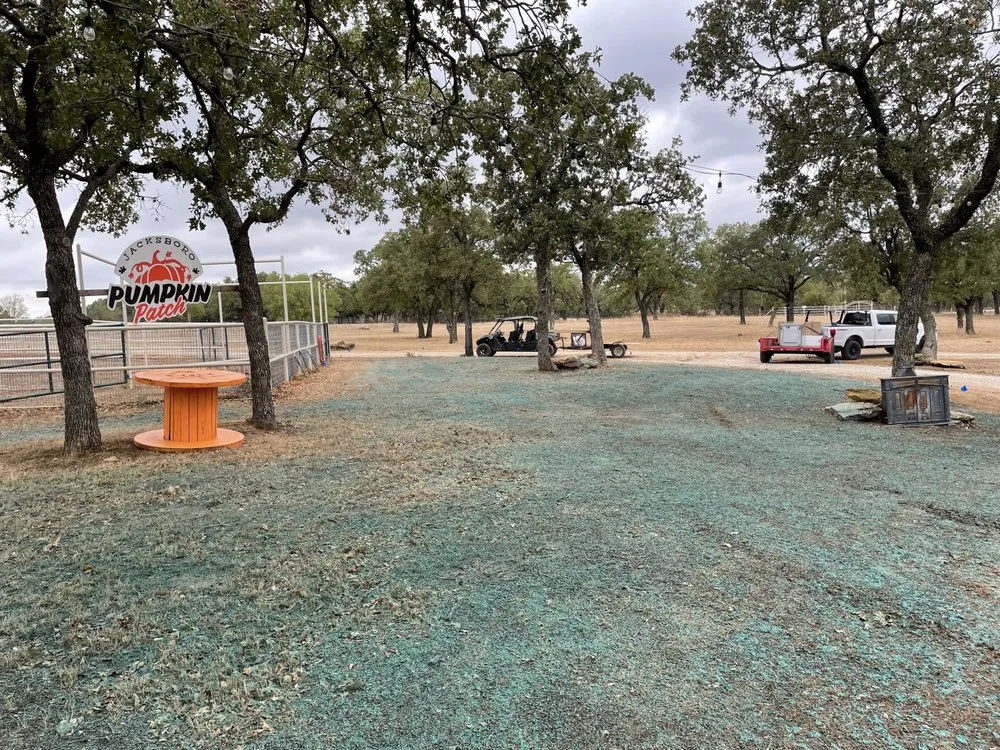 Top-rated landscaping services near you in Crowley, TX by Texas Hydroseed solutions