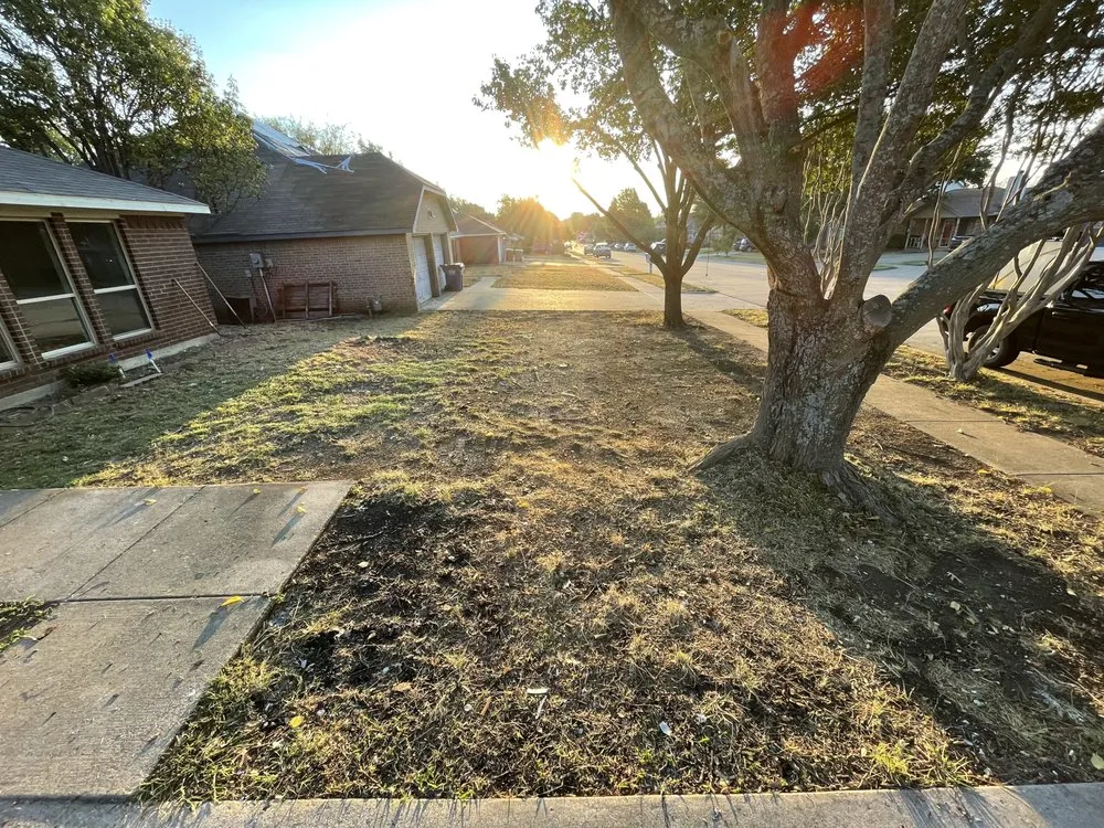 Top-rated residential landscaping in Crowley, TX by Texas Hydroseed solutions