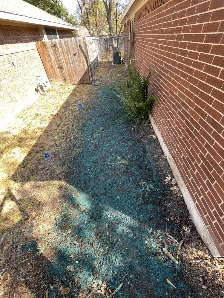 Professional yard cleanup service in Crowley, TX by Texas Hydroseed solutions