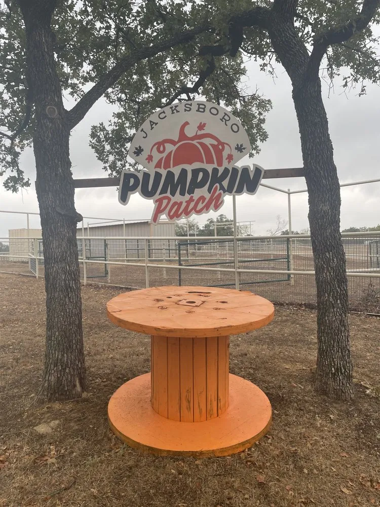 Top-rated landscaping services in Crowley, TX by Texas Hydroseed solutions