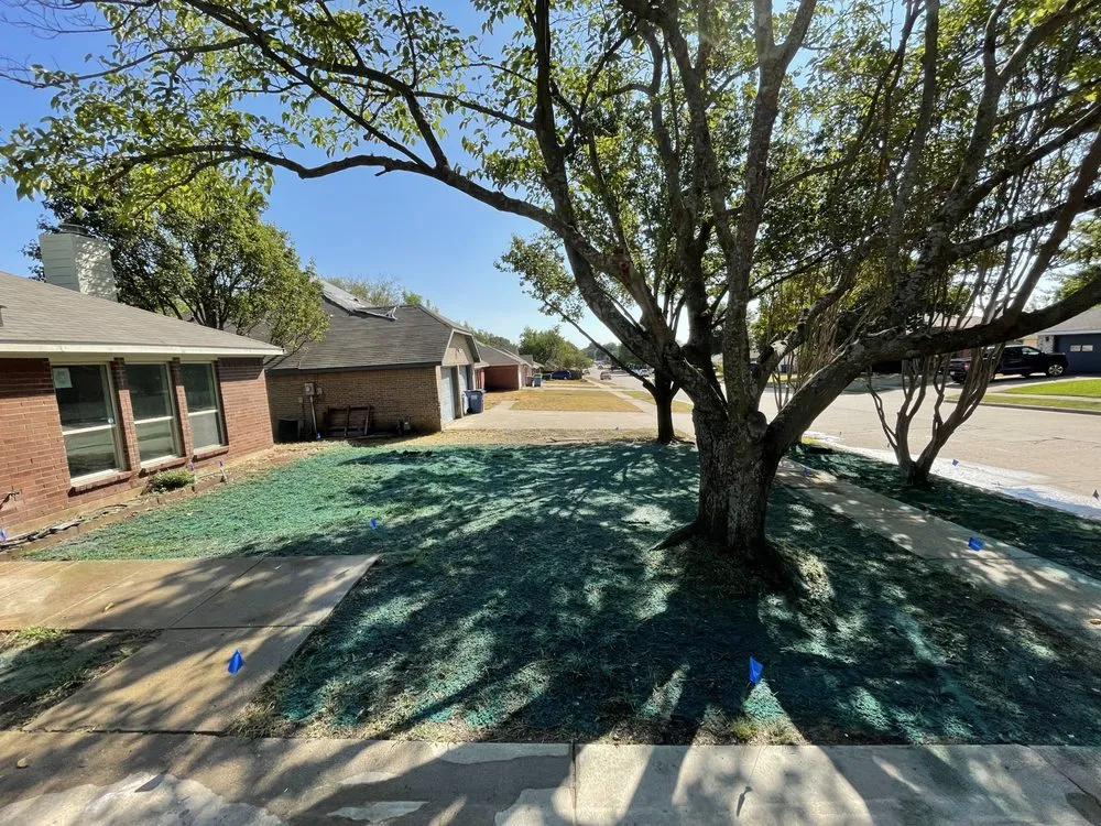 Local yard cleanup service in Crowley, TX - Texas Hydroseed solutions