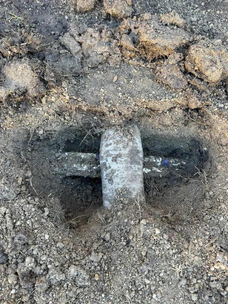 Professional yard cleanup service in Crowley, TX by Texas Hydroseed solutions