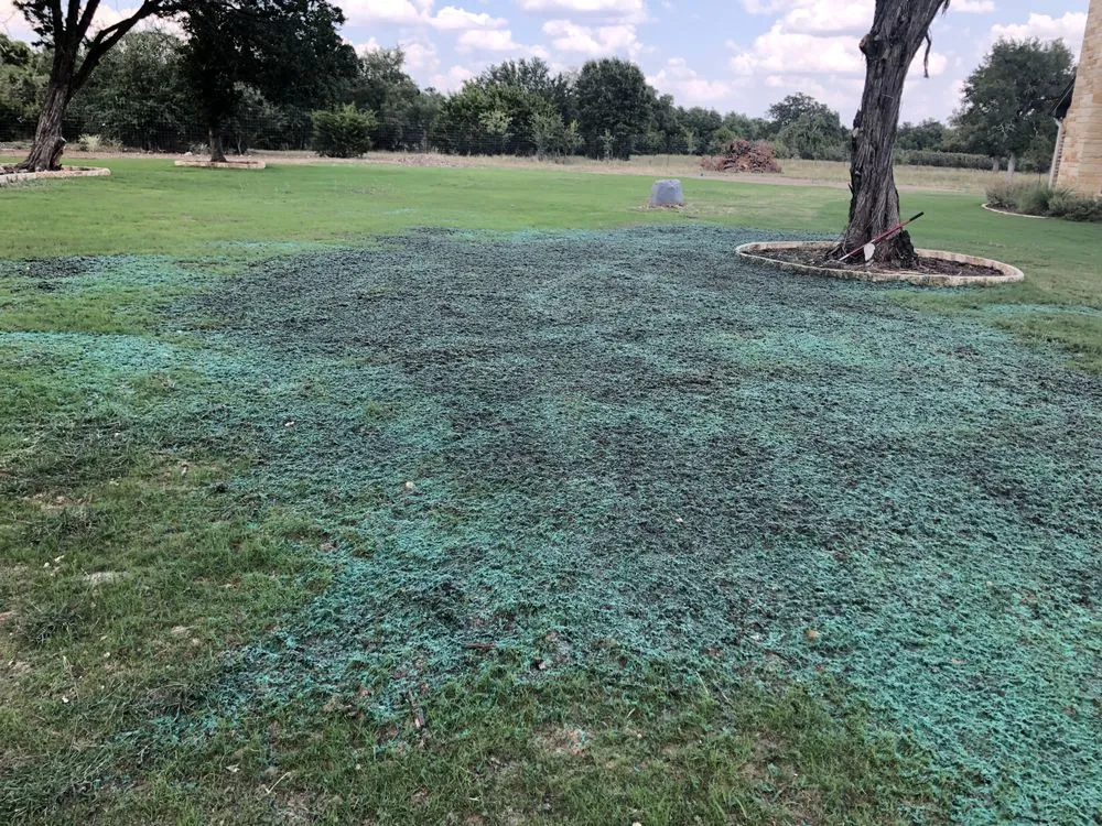 Top-rated landscaping services in Salado, TX - Texas Hydroseeding & Erosion Control