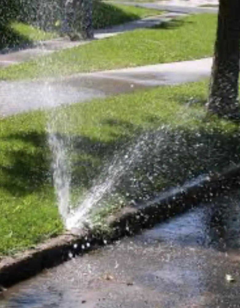 Reliable landscape design in Burnet, TX by Texas irrigation solutions