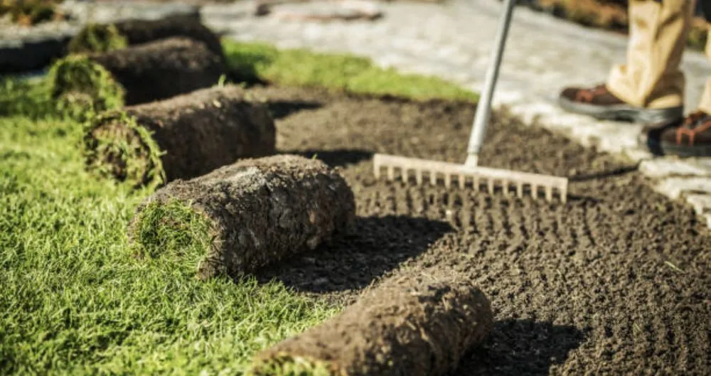 Professional lawn mowing service near you in Burnet, TX by Texas irrigation solutions