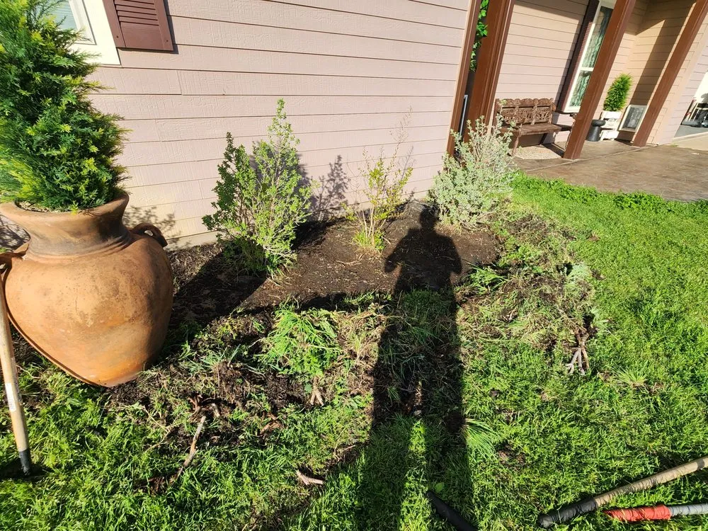 Top-rated lawn care service in Rainbow, TX - Texas Jackalope Services