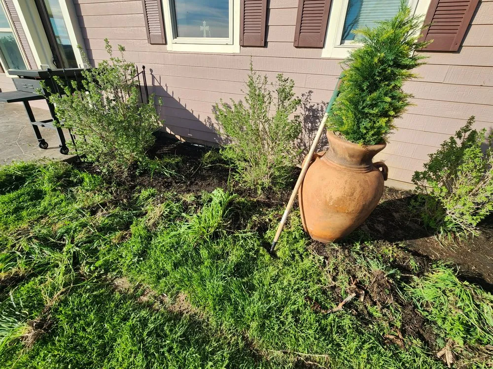 Expert lawn mowing service experts serving Rainbow, TX - Texas Jackalope Services