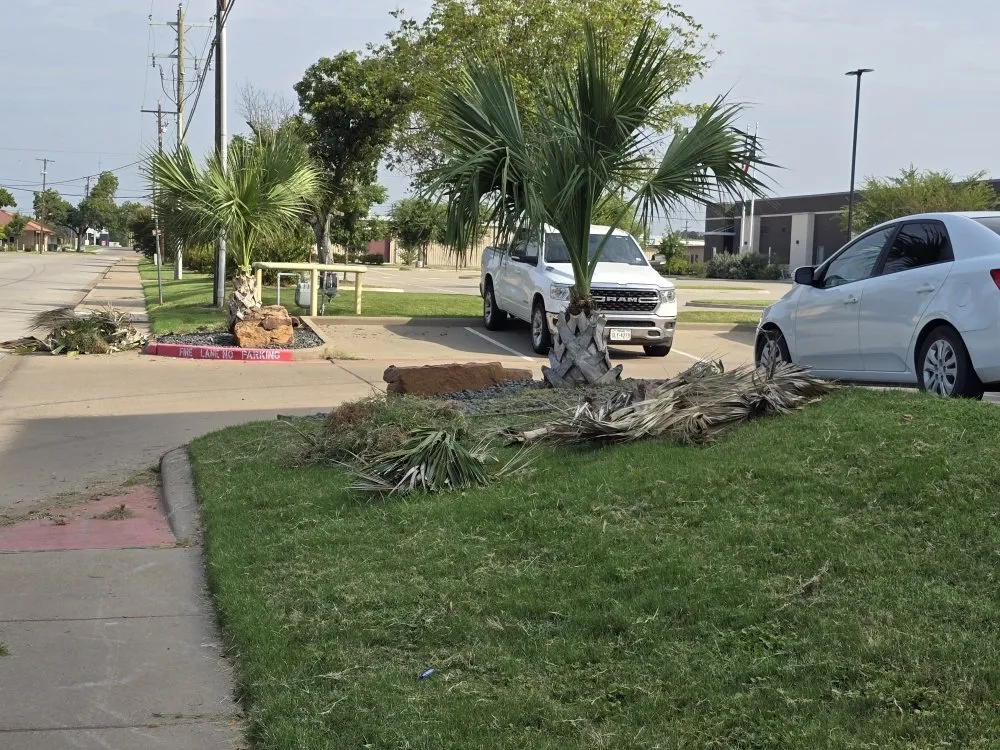 Affordable lawn care service with custom design in Rainbow, TX by Texas Jackalope Services