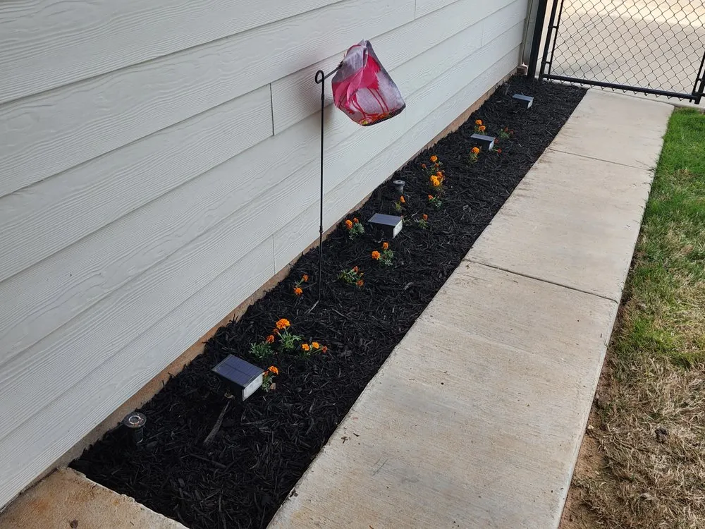 Custom residential landscaping in Rainbow, TX by Texas Jackalope Services