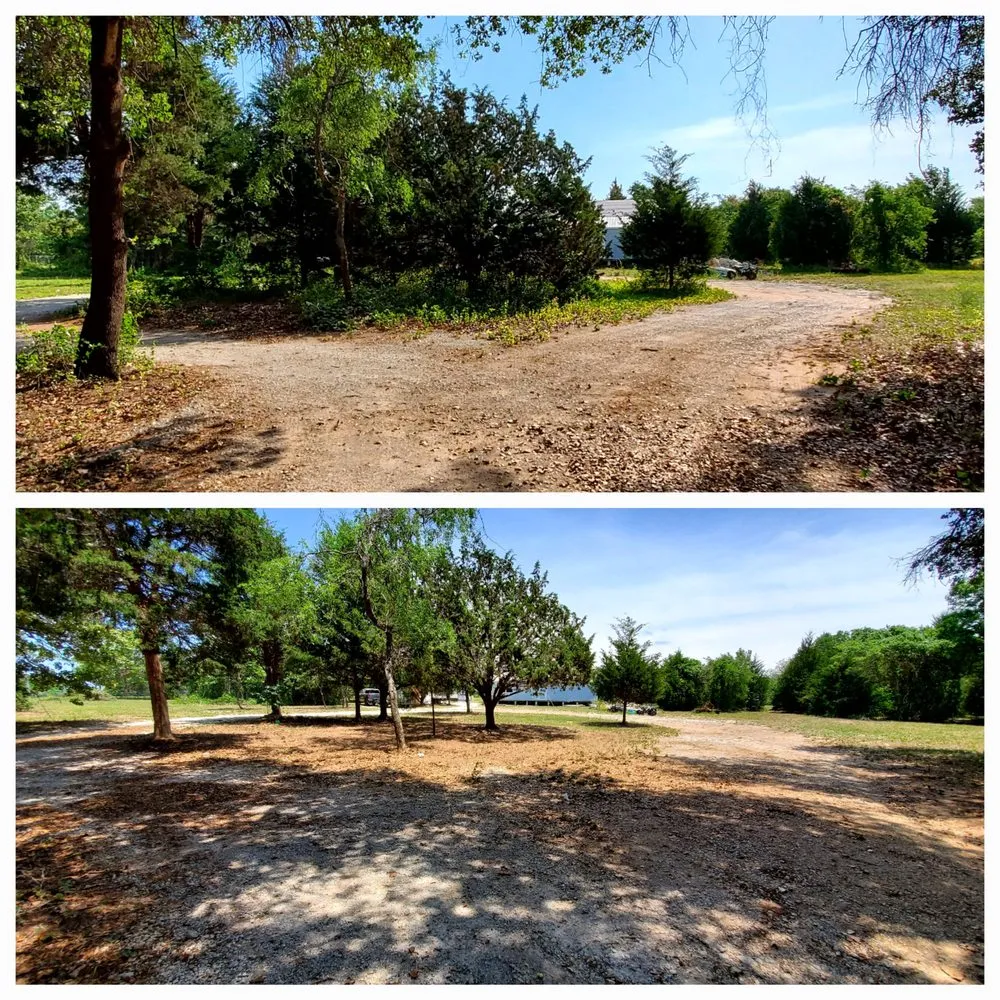 Professional landscape installation experts serving Rainbow, TX - Texas Jackalope Services