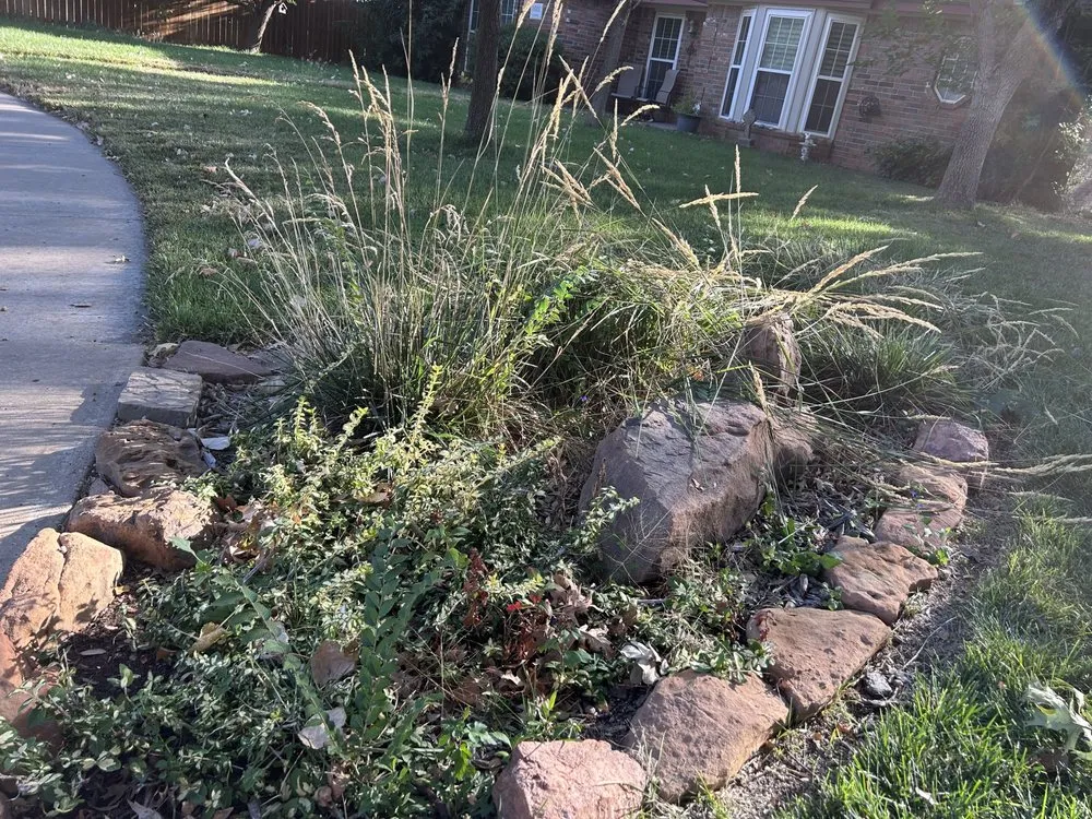 Affordable lawn care service for outdoor upgrades across Amarillo, TX - Texas Land and Lawn Care