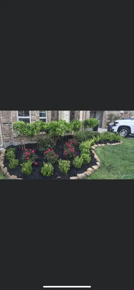 Professional lawn care service for residential properties in Amarillo, TX by Texas Land and Lawn Care