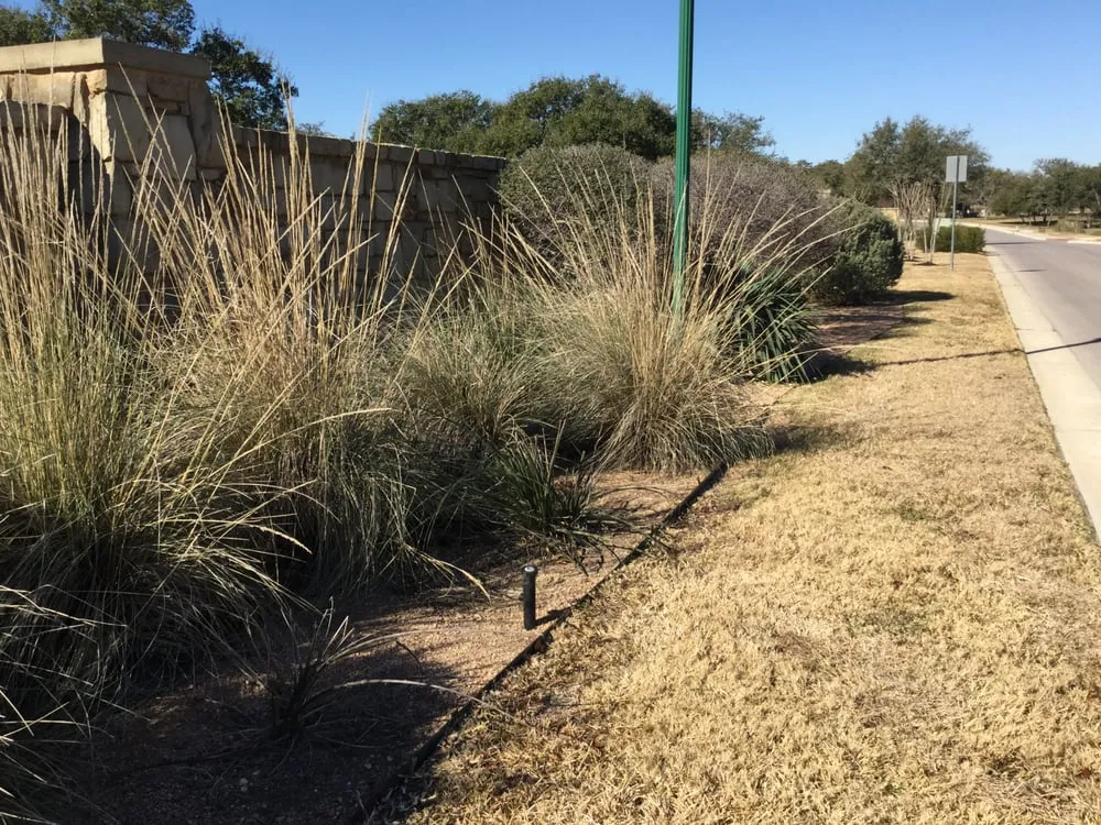 Custom garden landscaping in Round Rock, TX - Texas Landscape Creations