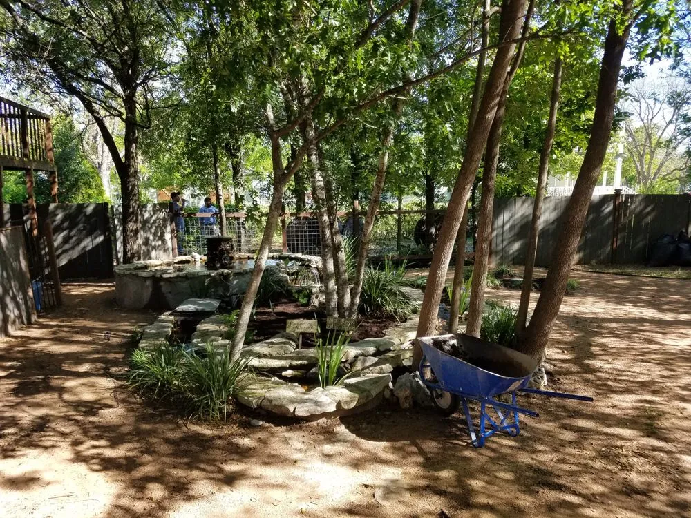 Trusted yard maintenance in Round Rock, TX - Texas Landscape Creations