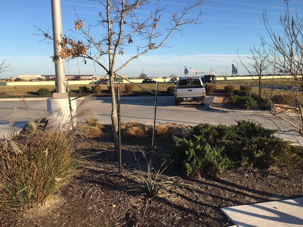 Local landscape installation experts serving Round Rock, TX - Texas Landscape Creations