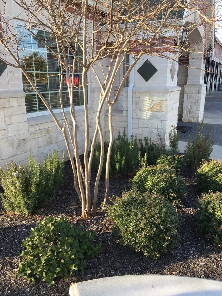 Reliable landscape installation experts serving Round Rock, TX - Texas Landscape Creations