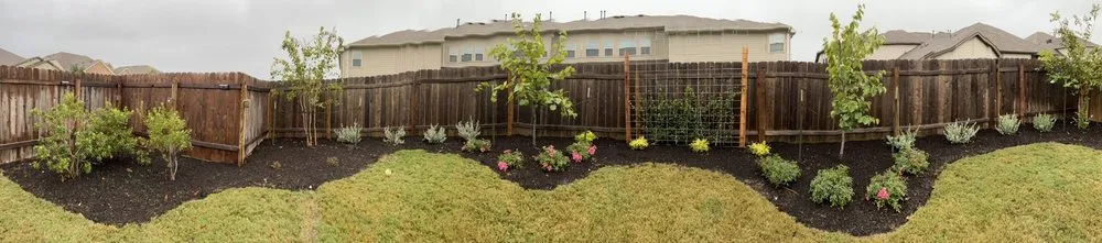 Reliable yard cleanup service for homes in Round Rock, TX by Texas Landscape Creations