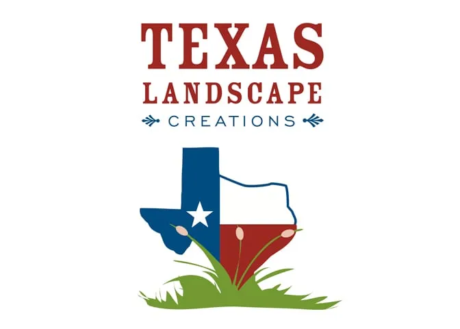 Expert yard maintenance in Round Rock, TX by Texas Landscape Creations