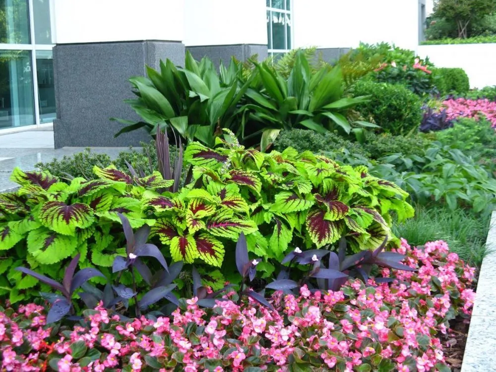 Reliable lawn mowing service in Pilot Point, TX by Texas Landscape Services