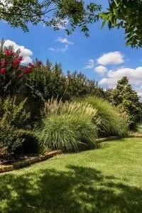 Expert residential landscaping for outdoor upgrades in Pilot Point, TX by Texas Landscape Services