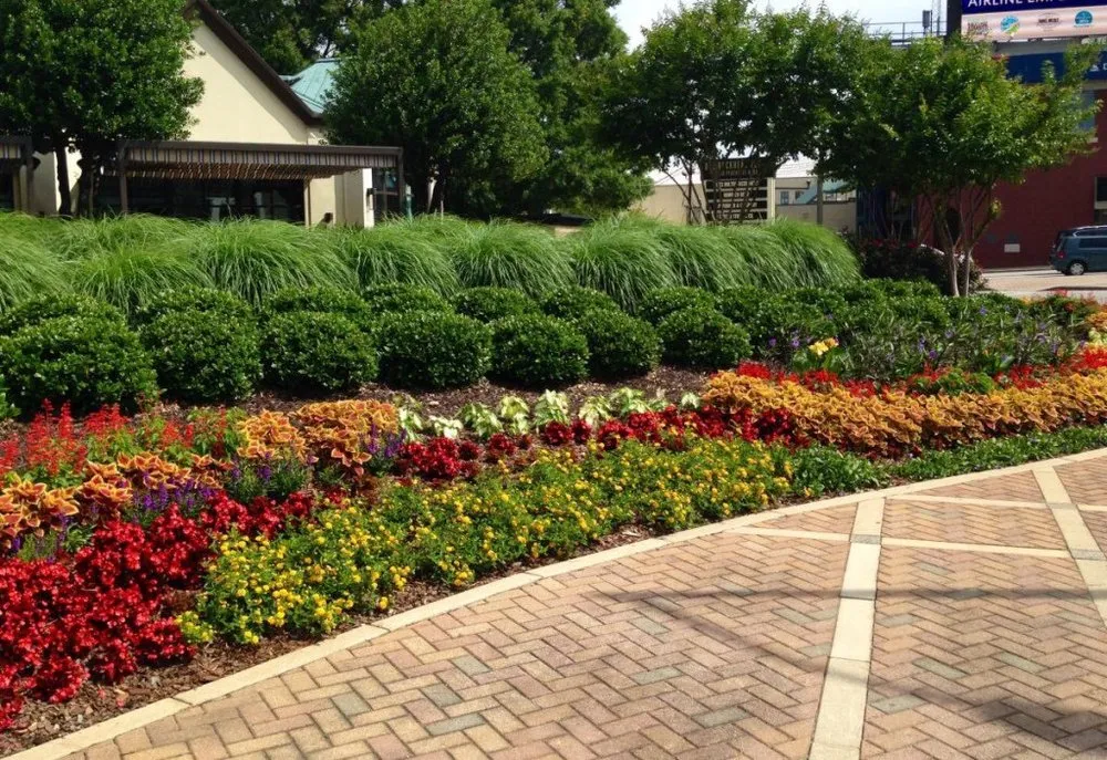 Top-rated landscape design in Pilot Point, TX by Texas Landscape Services