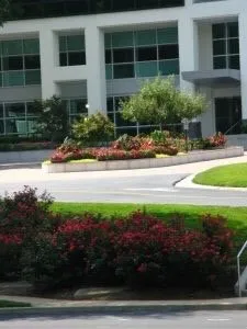 Reliable landscape design experts serving Pilot Point, TX - Texas Landscape Services