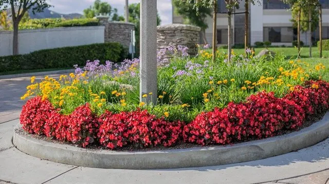 Professional yard maintenance near you across Pilot Point, TX - Texas Landscape Services