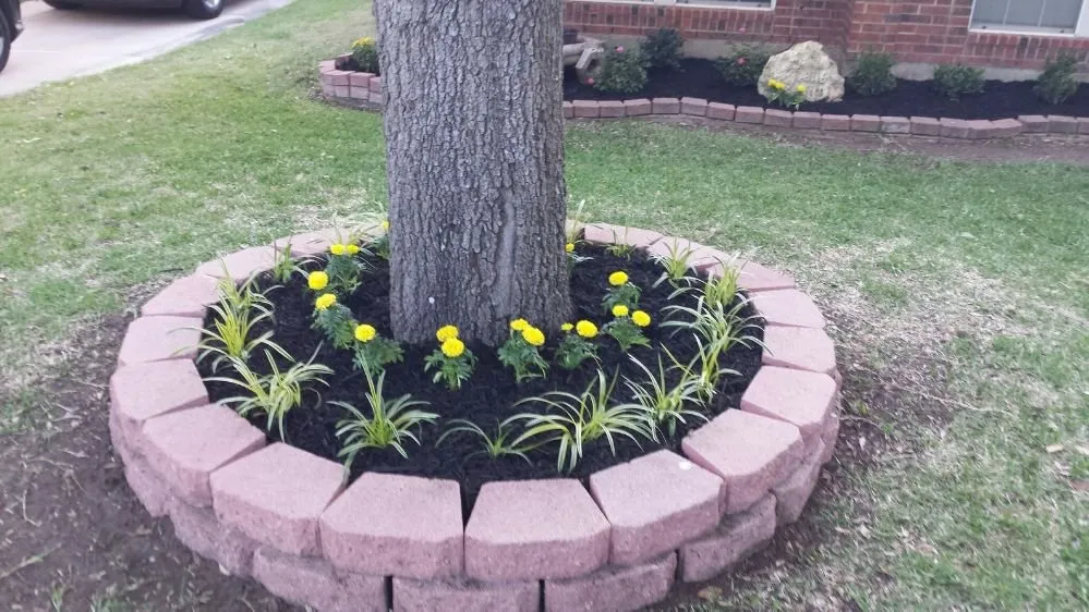 Professional residential landscaping for year-round maintenance in Meridian, TX by Texas Landscape Solutions