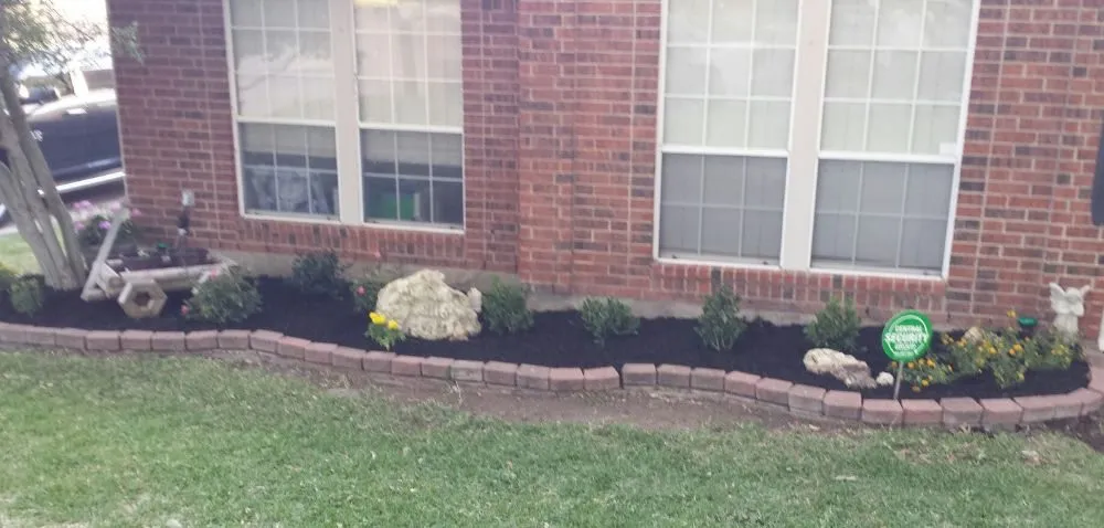 Trusted yard cleanup service for year-round maintenance across Meridian, TX - Texas Landscape Solutions