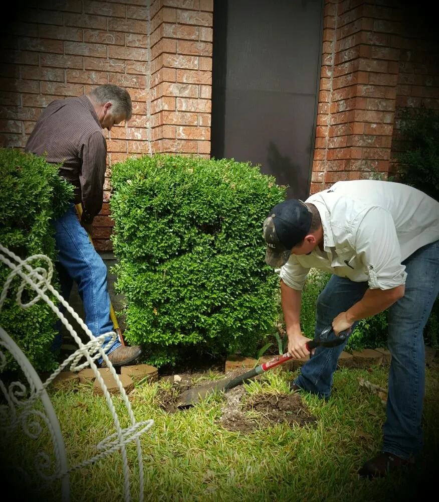 Affordable landscaping services in Meridian, TX by Texas Landscape Solutions