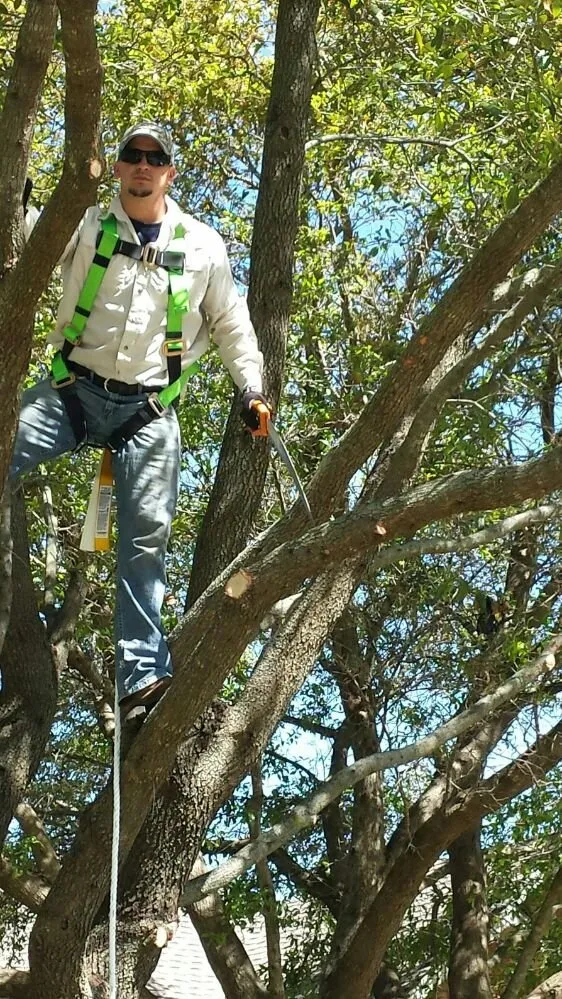 Expert garden landscaping with custom design in Meridian, TX by Texas Landscape Solutions