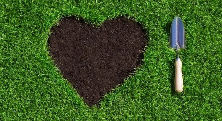 Expert outdoor landscaping for beautiful yards in San Antonio, TX by Texas Landscaping & Lawn Care