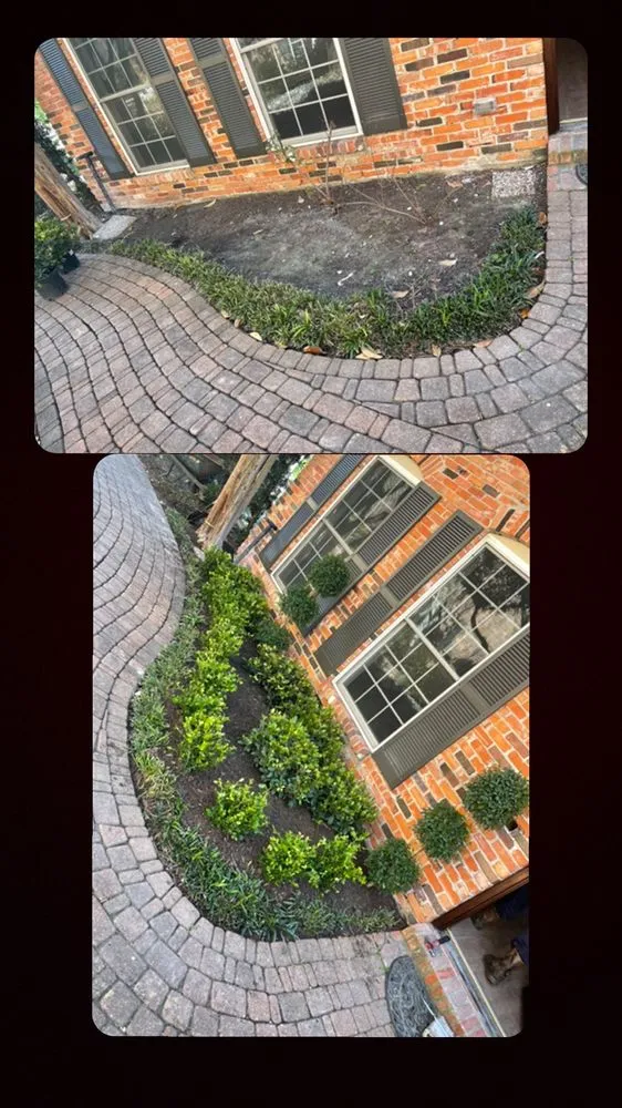 Custom yard maintenance in Houston, TX by Texas Landscaping