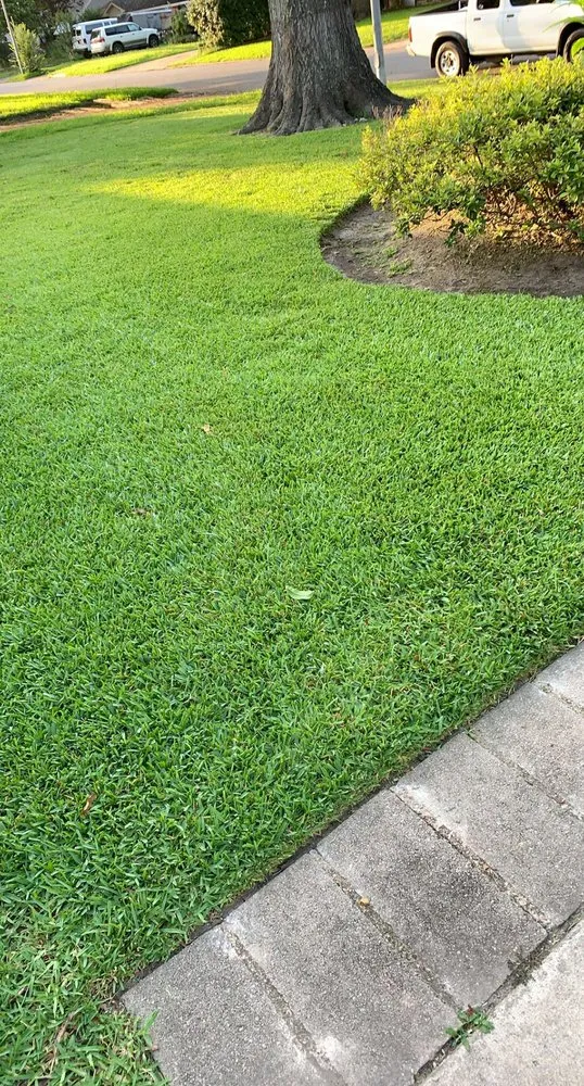 Trusted landscaping services for year-round maintenance in Houston, TX by Texas Landscaping