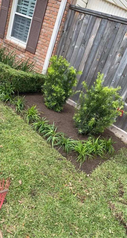 Local lawn care service for outdoor upgrades across Houston, TX - Texas Landscaping