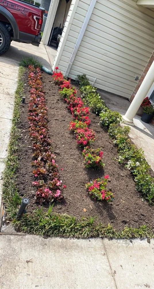 Top-rated residential landscaping experts serving Houston, TX - Texas Landscaping