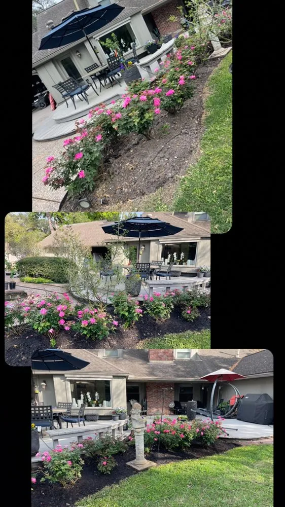 Top-rated outdoor landscaping for year-round maintenance in Houston, TX by Texas Landscaping